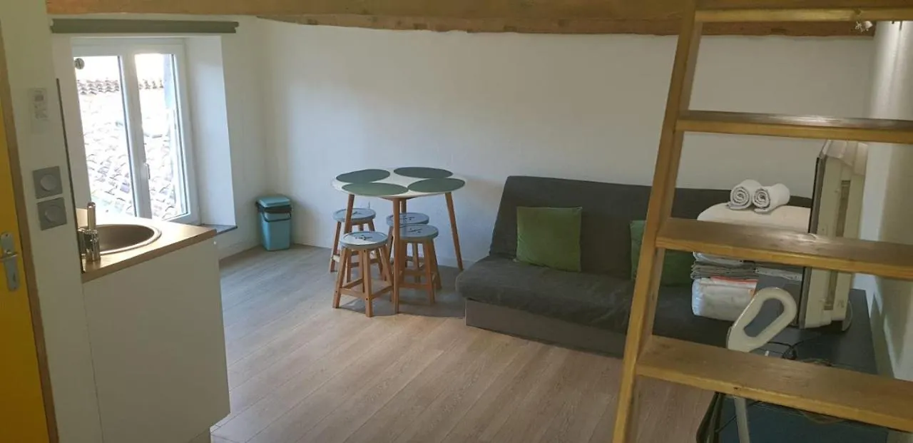 Hyper-Centre 2 Lits Climatiseur Apartment Castres  France